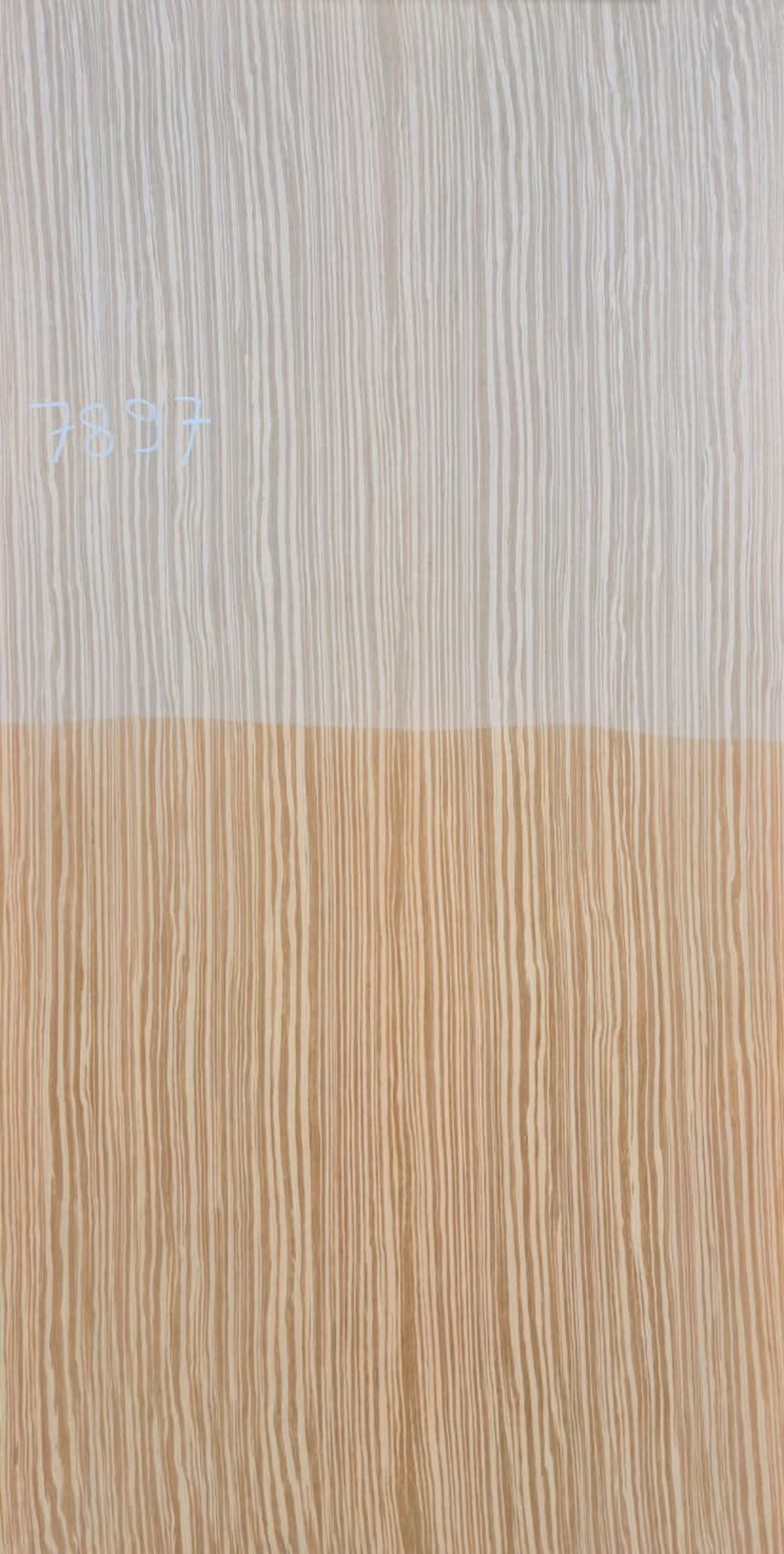 7897- Golden Ebony