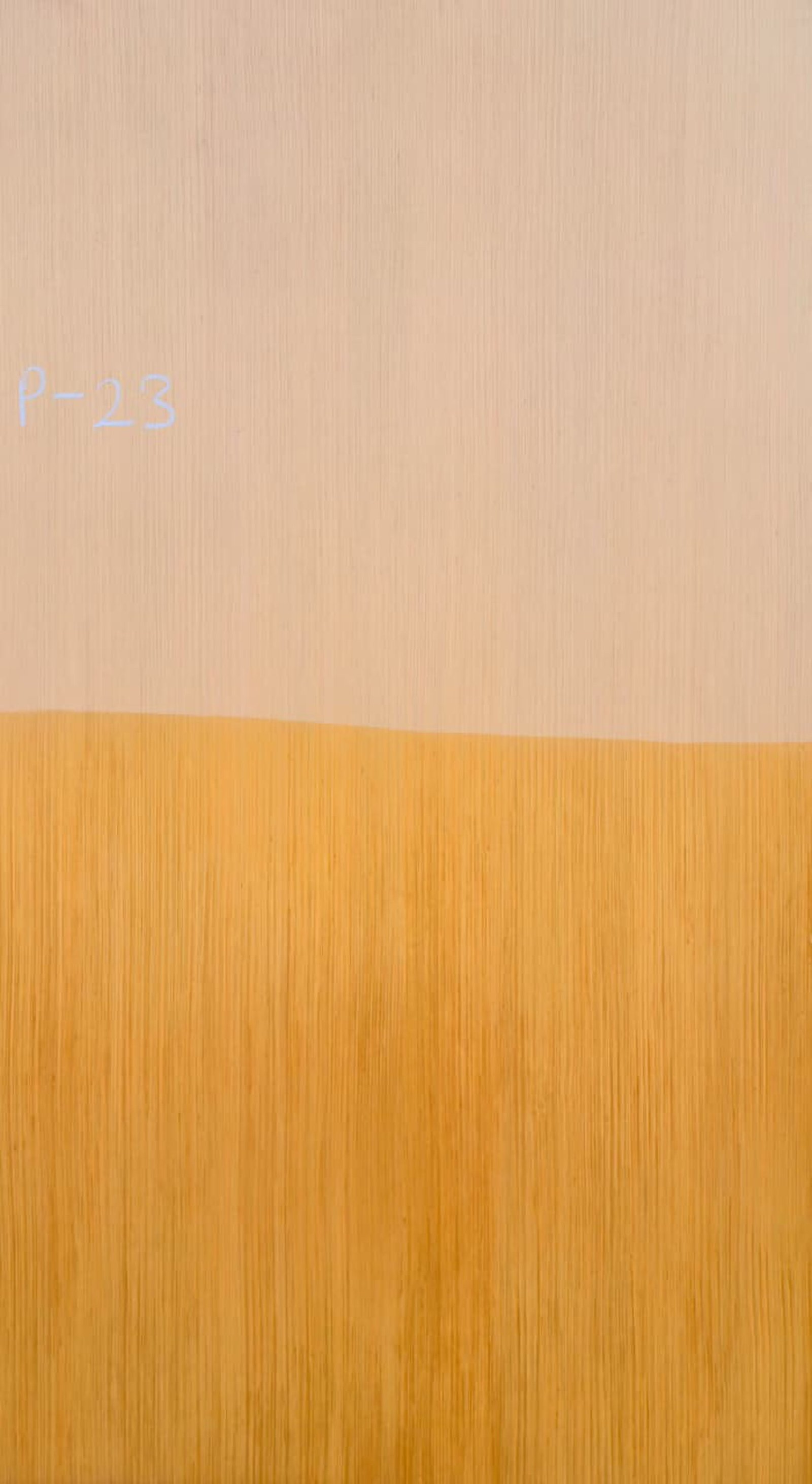 P-23 Spanish White