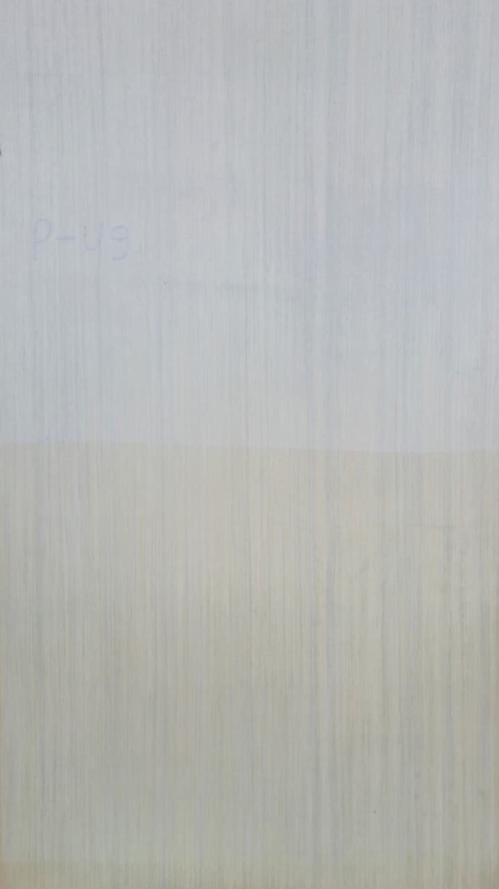 P- 49 Silky White